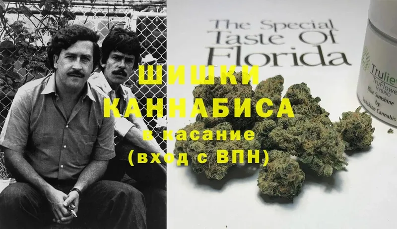 Бошки марихуана Bruce Banner  где можно купить   Козьмодемьянск 